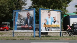 Wahlplakate von AfD und CDU zur Landtagswahl in Sachsen-Anhalt