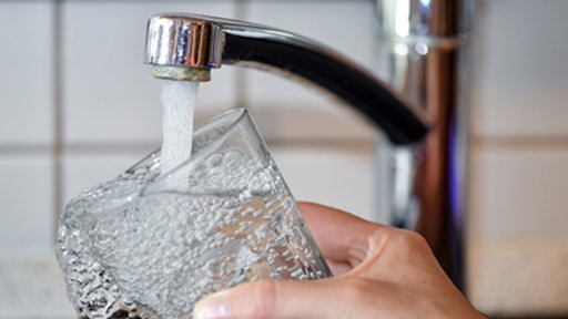 Jemand befüllt ein Glas mit Wasser aus dem Hahn