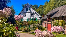 Die Bergische Wanderwochen finden vom 7. bis 28. September statt