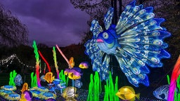 Bunte Figuren und Tiere leuchten beim China Light Festival in Kleve