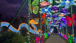 Bunte Figuren und Tiere leuchten beim China Light Festival in Kleve