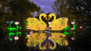 Bunte Figuren und Tiere leuchten beim China Light Festival in Kleve