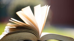 Offenes Buch im grünen Gras