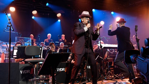 Elvis Costello meets WDR Bigband · Leverkusener Jazztage 2025