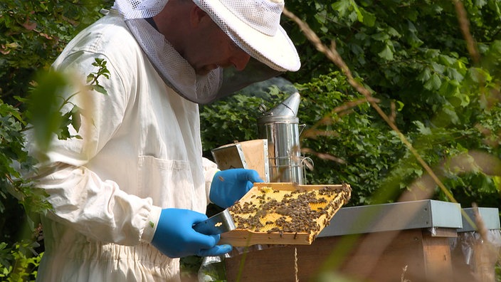 Die Bienen von der Feuerwehr