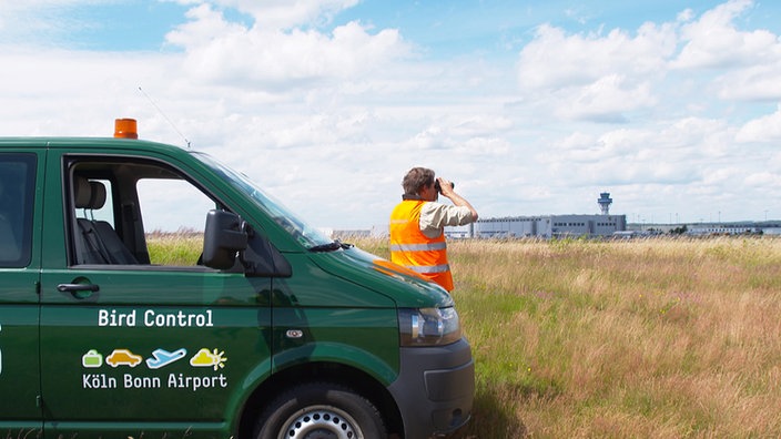 Bird Control Flughafen Köln
