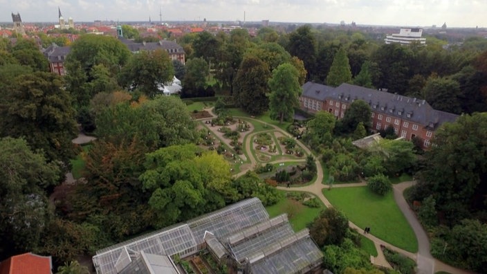 Münster