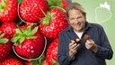 Das Bild zeigt Björn Freitag mit zwei Erdbeeren in der Hand. Im Hintergrund sind Erdbeeren zusehen.