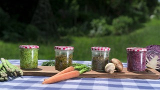 Das Bild zeigt vier mal verschiedene Pesto. 