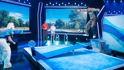 Das Sprung-Katapult im Aktionsspiel im Maus-Studio