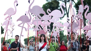 Albanien: Vom Umweltprotest zum Protest gegen die Regierung