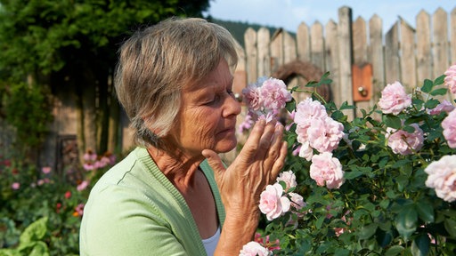 Lene duftet an Rosen