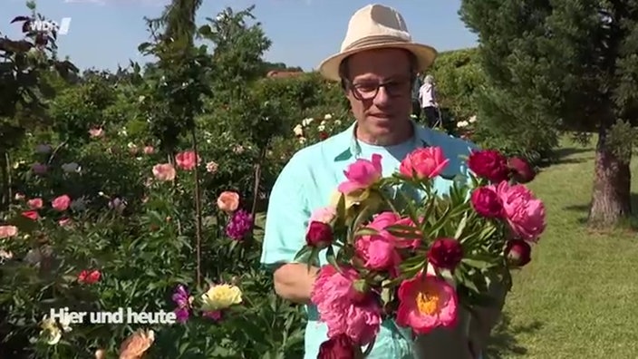 Gartenexperte Markus Phlippen im Garten mit Pfingstrosen