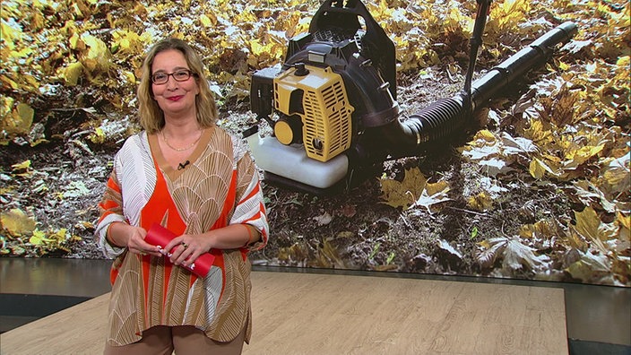 Yvonne Willicks und im Hintergrund ein Bild von einem Laubbläser