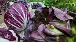 Das Bild zeigt verschiedenes violettes Gemüse, unteranderen Kohl und Salat.