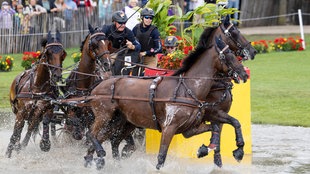 Rene POENSGEN GER, mit seinem Gespann im Wasser, Einzelaktion, Fahren,