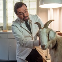 Prof. Boerne (Jan Josel Liefers) kümmert sich um Ziege Mimi.