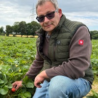 Bauer Karl Godde sitzt im Erdbeerfeld
