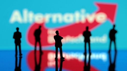  Symbolbild: Alternative für Deutschland (AfD)