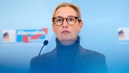 Alice Weidel, Fraktionssitzung der AfD-Bundestagsfraktion