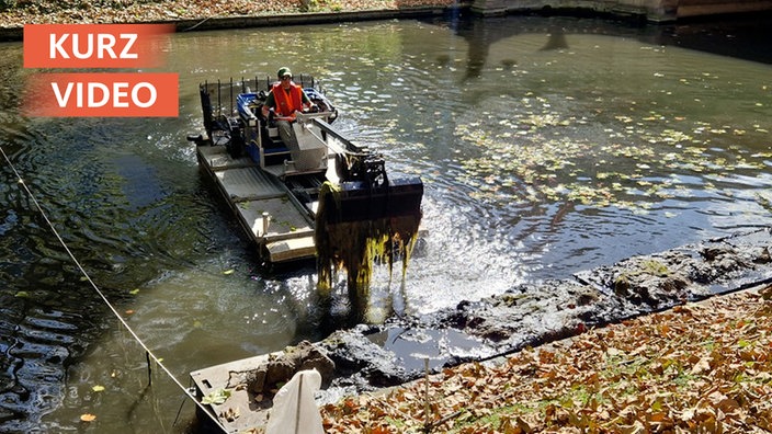 Amphibienfahrzeug reinigt Kö-Graben 