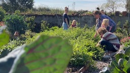 Apfelfest in NRW: Familie auf Obsthof