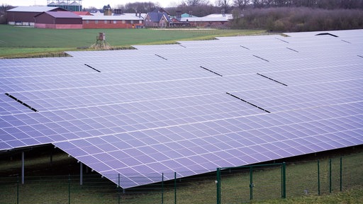 Rund 16.000 Solarmodule stehen auf einer umzäunten Wiese an der A1