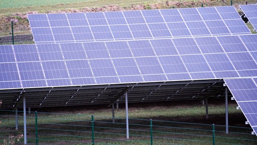 Ein grüner Zaun umschließt das Gelände mit den Solarmodulen