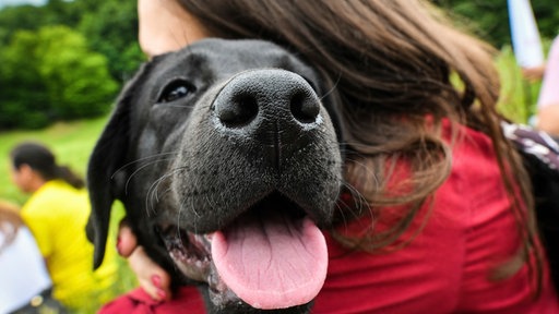 Frau mit Assistenzhund 