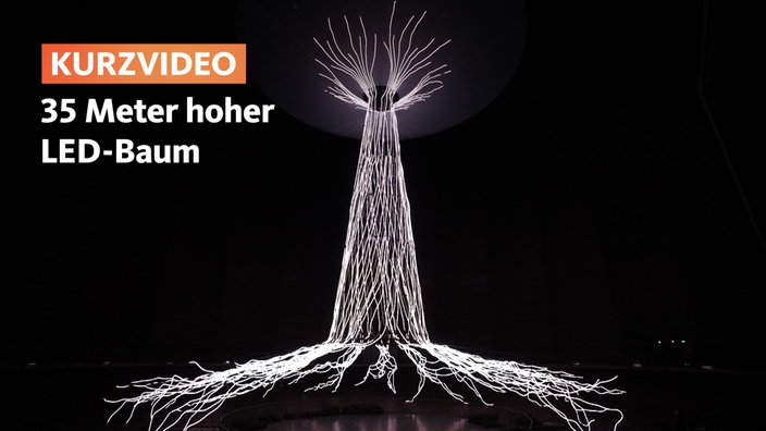 Mythos Wald Ausstellung in Oberhausen | Video | tn