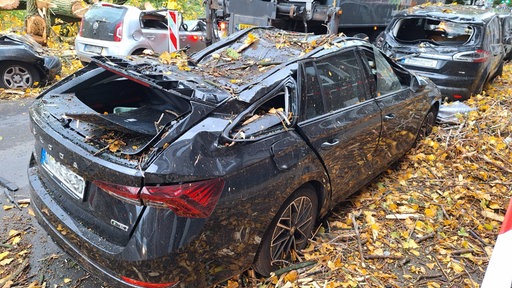 Mehrere beschädigte Autos durch herunterfallende Äste in Folge des Herbststurms 