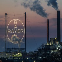Das Bayer-Kreuz leuchtet auf dem Werksgelände in Leverkusen bei Sonnenuntergang