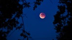 Der Blutmond in Mechernich-Lückerath