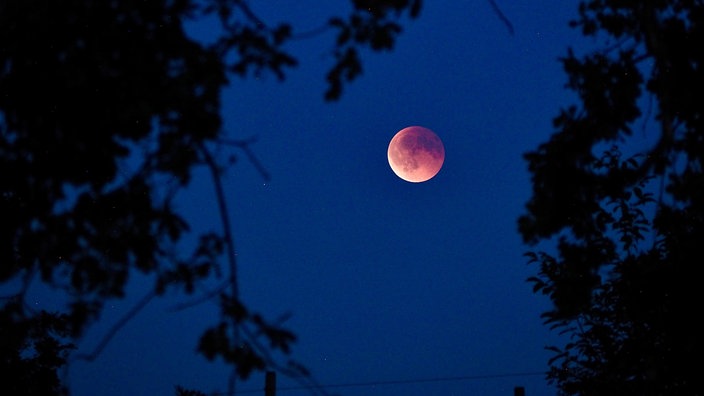 Der Blutmond in Mechernich-Lückerath