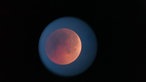 Der Blutmond durch ein Teleskop in Windeck fotografiert