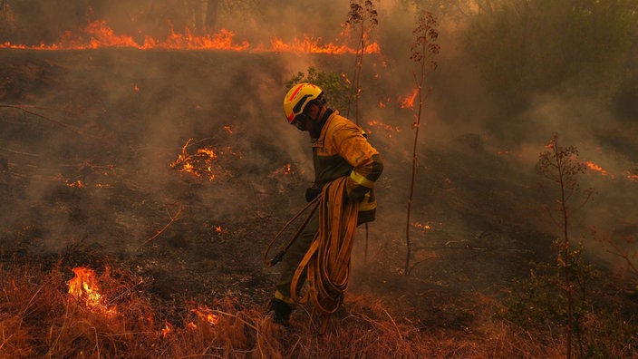 Spanien, San Martín de Valdeiglesias: Ein Feuerwehrmann trägt einen Schlauch, während er einen Waldbrand bekämpft.