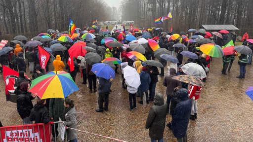 Demonstranten mit bunten Regenschirmen in einem Waldstück