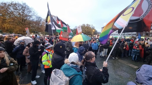 Demonstranten schwingen Fahnen auf dem Ludgeriplatz in Münster