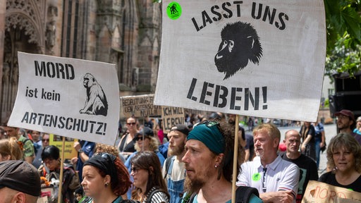 Demonstration gegen die Tötung von Pavianen im Tiergarten in Nürnberg