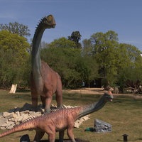 Dinosaurier stehen im Tiergehege vom Kölner Zoo