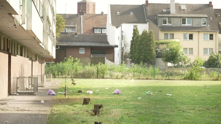 Müllsäcke liegen verteilt auf dem Rasen