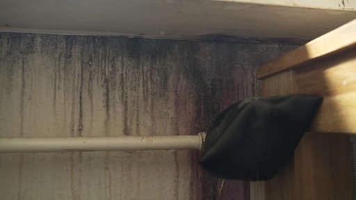 Schwarzer Schimmel läuft die Wand runter 