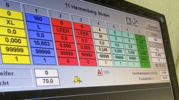 Die Software zeigt das Ergebnis des Sortiervorgangs am Bildschirm an