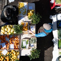 Menschen stehen an einem Marktstand mit Obst und Gemüse