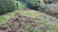 Ein von Wildschweinen durchwühlter Garten in Ennepetal.