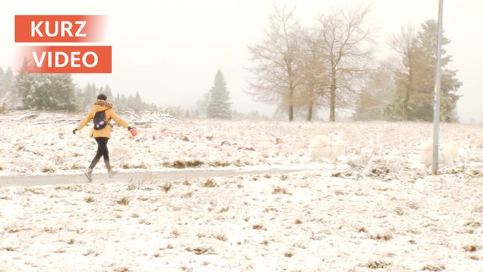 Erster Schnee | Kurzvideo | TN