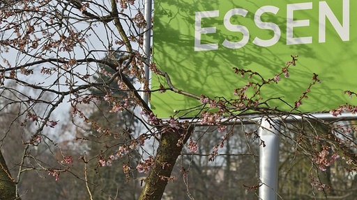 Grünes Ortsschild von Essen