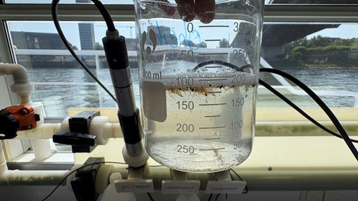 Sammelbehälter mit Wasser und Mikroplastik