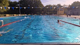 Schwimmer im Freibad Coburg in Münster