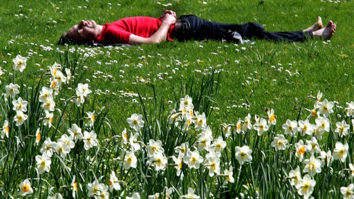 Ein junger Mann liegt auf einer Frühlingswiese